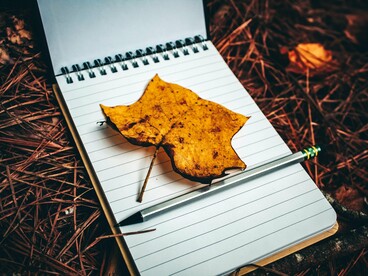 Um bloco de notas e um lápis repousam entre folhas e galhos, integrados à paisagem natural. Talvez o excesso de estímulo seja o inimigo e o simples, a solução