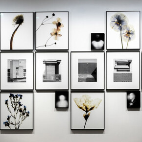 Flowers Contemporary II. Courtesy of Flowers Gallery