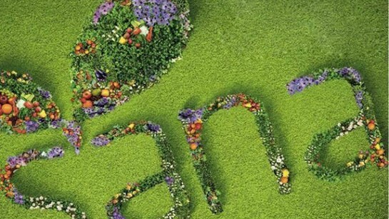 Logo of Sana 2012, Exhibition of Organic and Natural products.