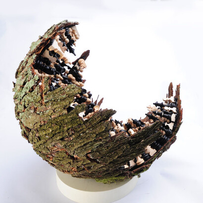 Cyryl Zakrzewski, Struggle, 2013, assemblaggio di scacchi in corteccia d'albero1