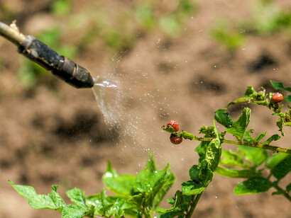 Pesticidi in agricoltura