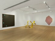 Colour is, Exhibition view. Courtesy of Waddington Custot