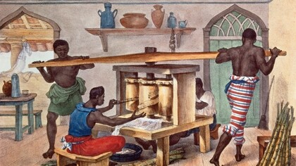 Lavorazione della canna da zucchero