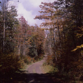 Trevor Paglen, Near lake grove (undated) (detail), 2025. Courtesy of Norton Museum of Art