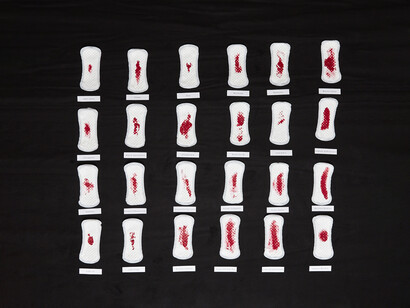 The Royal Blood of Women - Installazione