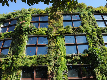 Green wall