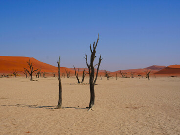 When water systems fail to deliver enough clean water to people, farms, or industry, authorities must impose extreme restrictions or emergency measures