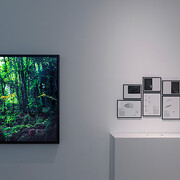Clouds ⇄ Forests. Courtesy of Tretyakov Gallery