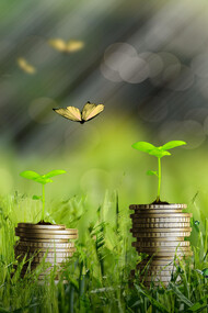 Currency and growth, the future of economics?