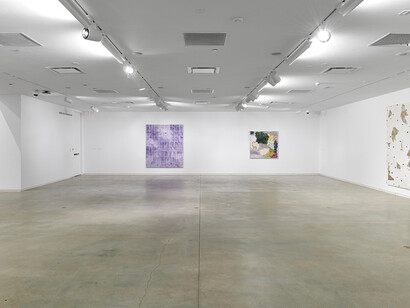 Rebecca Morris. Courtesy of Blaffer Art Museum