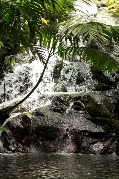 Parque natural de Benito Juarez, Veracruz, México. Foto: Sabrina Guitart