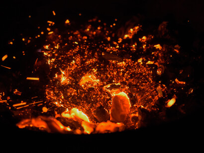 Forests on fire