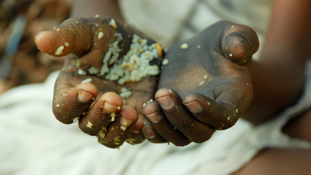 Going hungry in Brazil: a moderate reduction in inequality would be enough to ensure that people live well