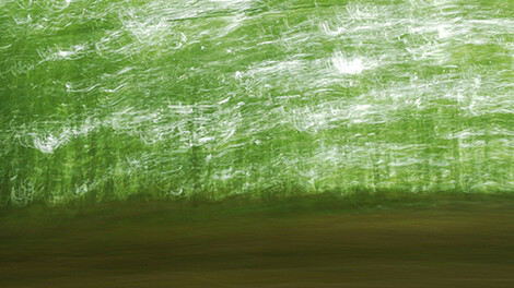 Amos Gitai, Tappeto 2 Colore, Azerbaijan, 2011