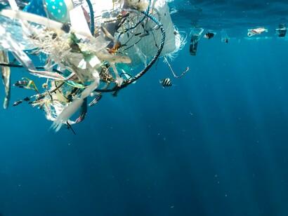 Inquinamento del mare