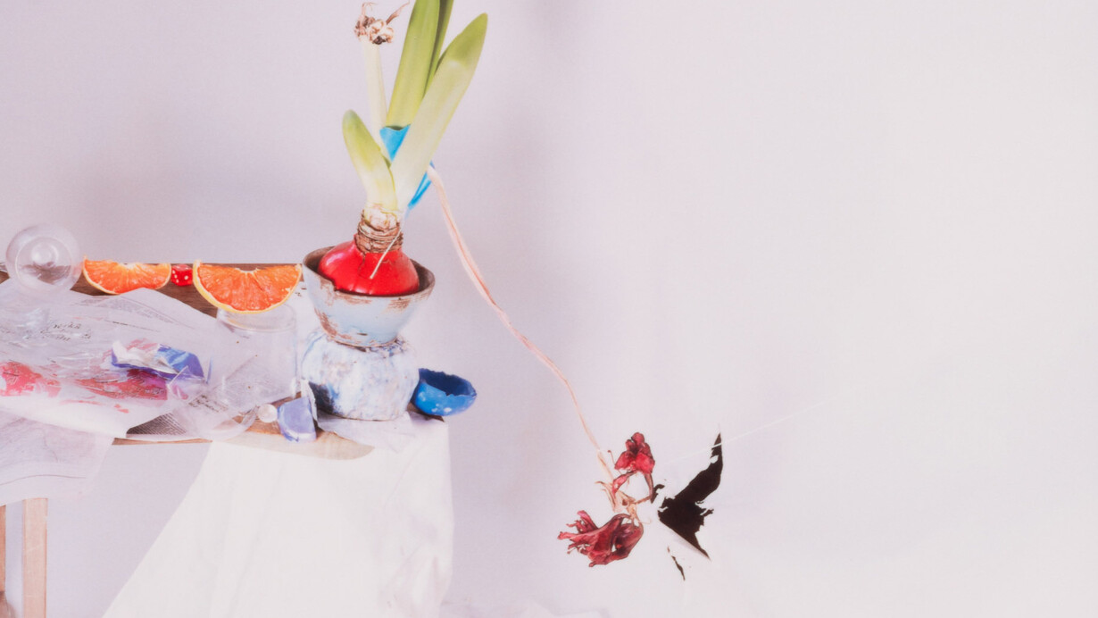 Laura Letinsky, Spring is bloo, 2023. Cortesia da Document Gallery