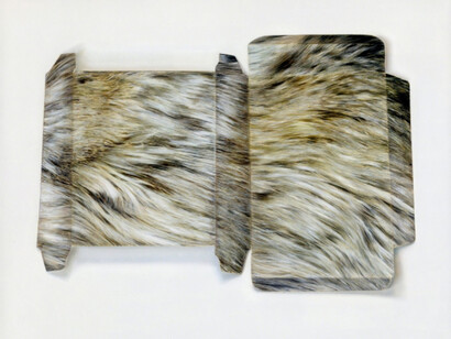 Claire Kerr. Courtesy of Purdy Hicks Gallery