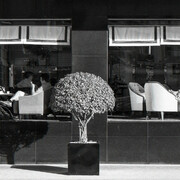 En el Cafe by Francisco Marin. Courtesy of Aflote.sg