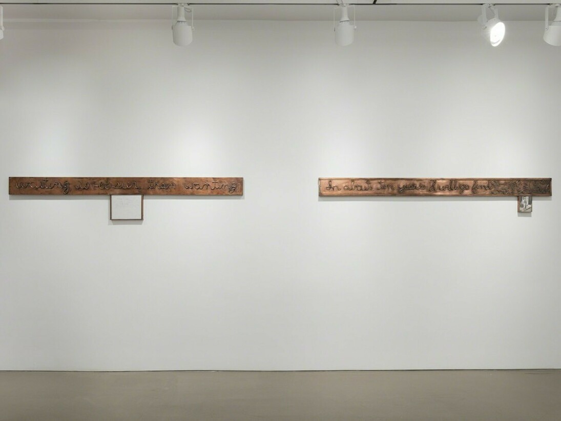 Want, Exhibition view. Courtesy of Alexander and Bonin