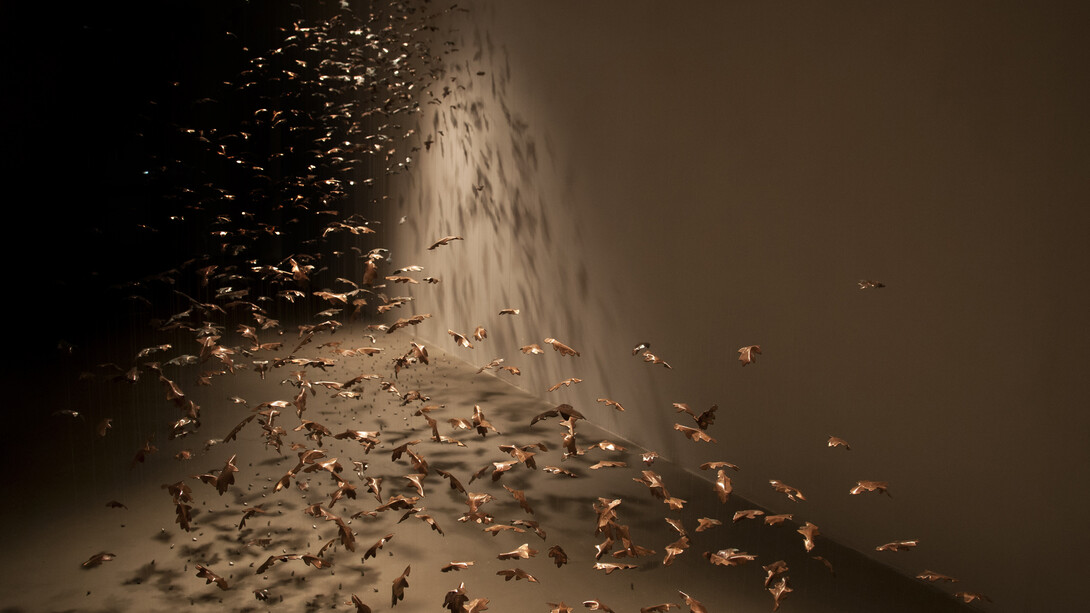 Federico Gori, Come afferrare il vento, 2015, incisioni e ossidazioni naturali su rame, lenza, acciao, piombo, dimensioni ambientali, veduta dell’installazione, Palazzo Fabroni, Arti Visive Contemporanee, Pistoia 