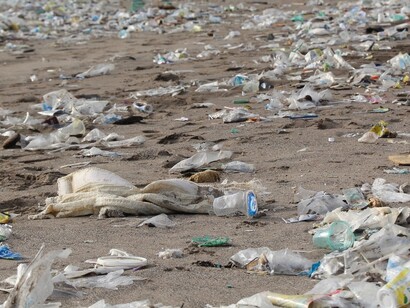 Playa convertida en vertedero