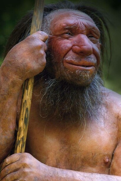 Homo sapiens neanderthalensis-Mr. N (Ausschnitt des Originalfotos), Neanderthal Museum, Mettmann, Germania