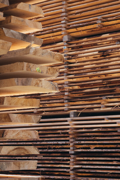 Legno: la connessione che sento con i pezzi di legno plasmati dal tempo e dal lavoro, dagli elementi naturali come acqua, sole, vento, dalle mani degli artigiani, o dall’intervento di altri animali, è pari a quella che provo per gli alberi vivi e vitali