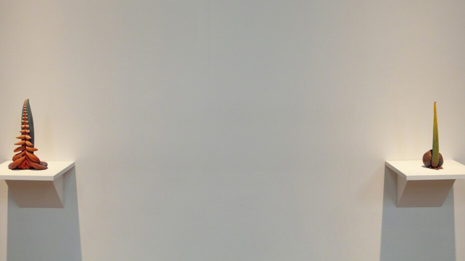 Judy Fox. Courtesy of Nancy Hoffman Gallery