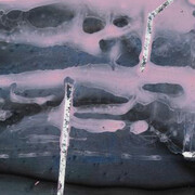 Liz Rundorff Smith, Echo (detail), 2025. Courtesy of Susan Eley Fine Art