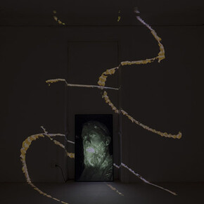 Tamil Man. Courtesy of Federica Schiavo Gallery
