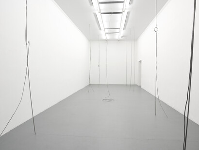 Paolo Icaro. Courtesy of Galleria Massimo Minini