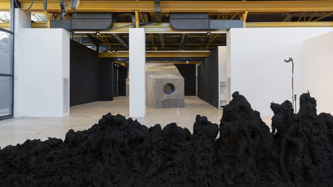 Gabriele Silli, Immenso spermatozoo sottomarino (Immense submarine spermatozoon), vista della mostra. Cortesia di D’Arc Foundation