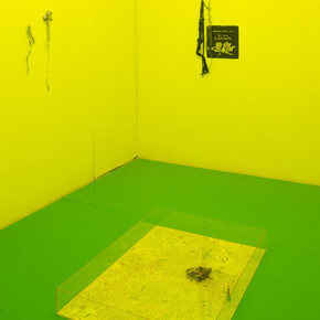 Yuji Agematsu. Courtesy of Lulu