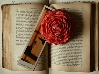 With its pages open, the book serves as a symbol of the departure from the familiar, as the reader temporarily emigrates into a new world created by the author