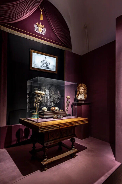 Peter’s Kunstkamera, or the tower of knowledge, exhibition view. Courtesy of Kunstkamera