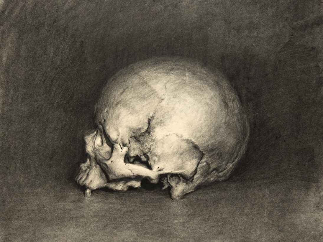 Jeremy Mann, Homo Sapien, charcoal on paper, 8 x 10 1/2 inches, 2013