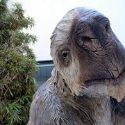 Megalonyx
