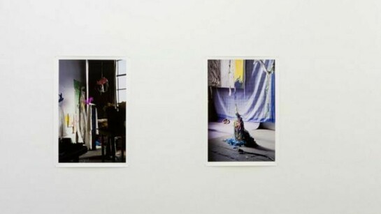 David Gilbert, Coming of Age, Installation at Klaus von Nichtssagend Gallery