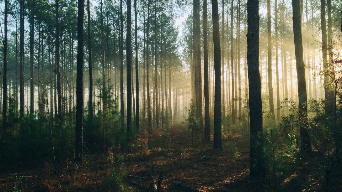 La sacralità degli elementi naturali, il culto della madre-terra, i riti propiziatori per i buoni raccolti, testimoniano l’esistenza di uno stretto e indissolubile legame tra l’uomo e la natura