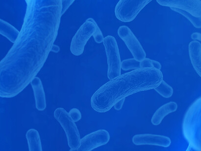 Los bacilos E. coli, las cepas buenas que viven normalmente en el intestino, impiden cuando están en proporción normal que no proliferen otras cepas más agresivas