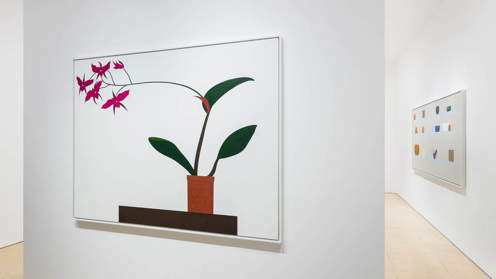 Ed Baynard. Courtesy of Stephen Friedman Gallery