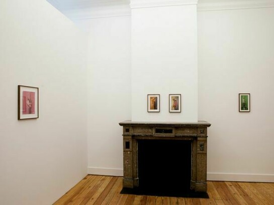 Raphael Danke I En Belgique, Installation view at Motinternational Brussels, Courtesy the artist and Motinternational Brussels and London