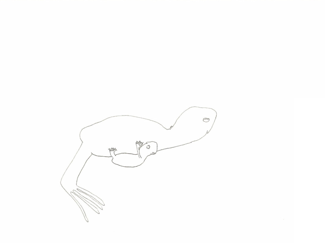 Tallulah Willis, Latched, 2016. Courtesy of Eric Buterbaugh Gallery