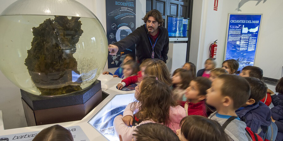 La mar de cetáceos en Andalucía. Courtesy of Casa de la Ciencia