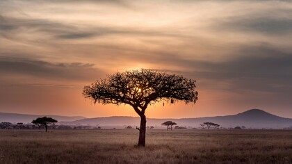 Serengeti, Tanzania