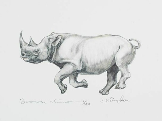 Jonathan Kingdon, Browse Rhino