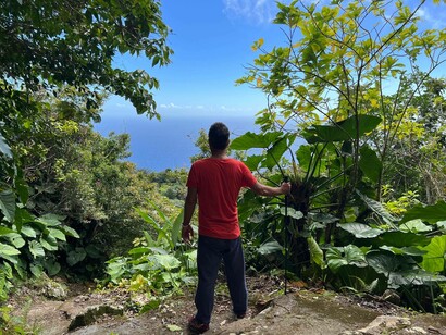 The summit of Mount Scenery on the Island of Saba in the Caribbean