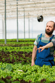 Farmworkers gather fresh vegetables under the warm sun, ensuring the highest quality produce for consumers who might unknowingly encounter insect-derived ingredients in their food