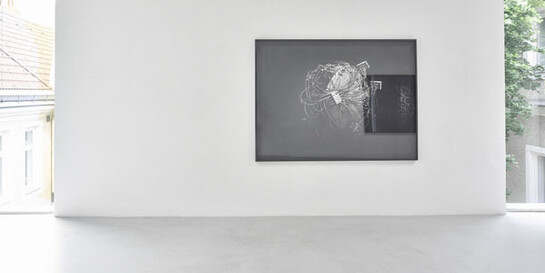 Thomas Feuerstein, Exhibition view. Courtesy of Galerie Elisabeth & Klaus Thoman
