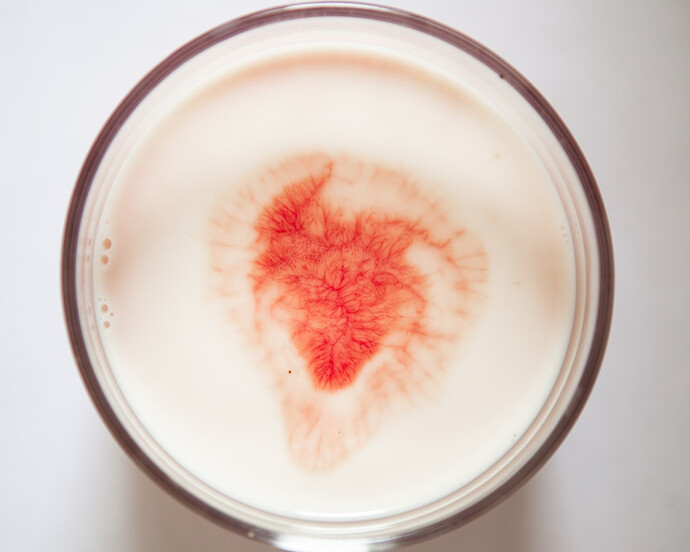 L’albero del latte. Courtesy of Fondazione Dino Zoli